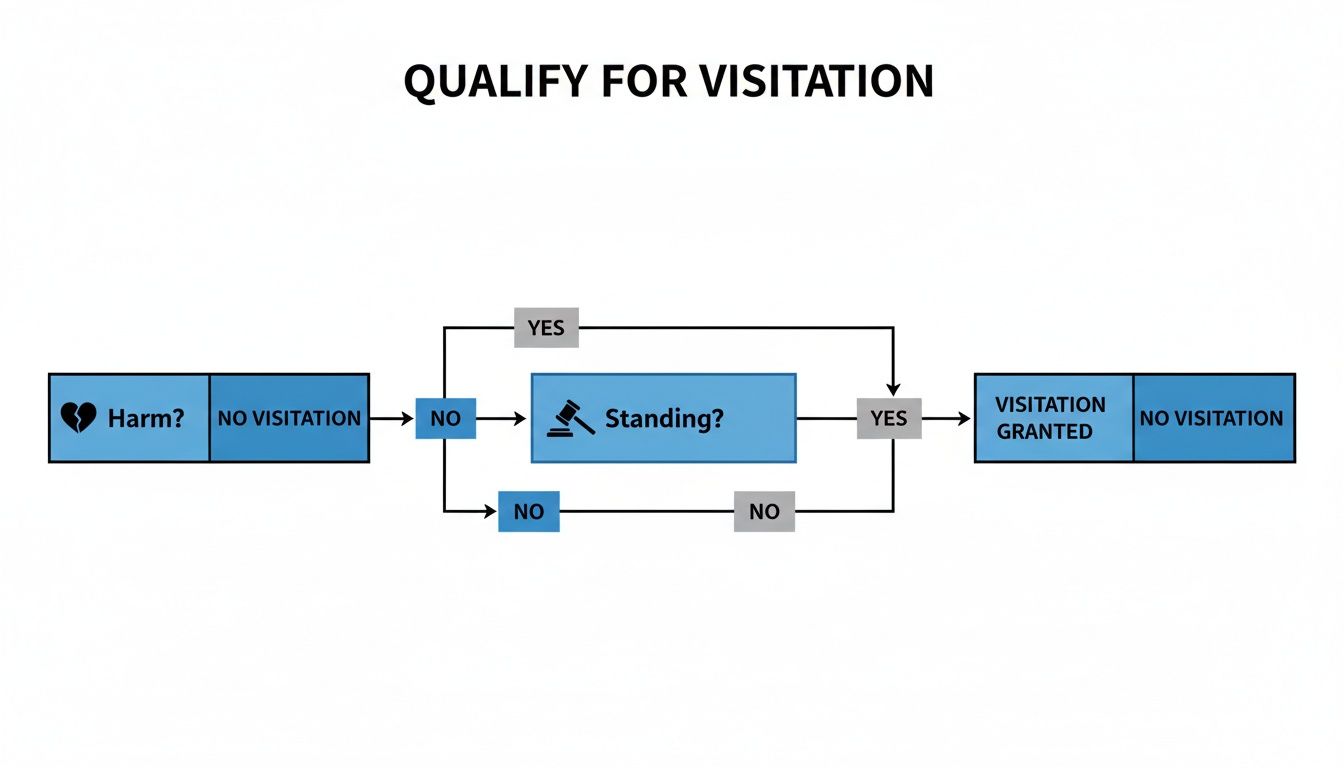 Flowchart showing criteria for visitation, assessing harm and legal standing, leading to granted or denied visitation.
