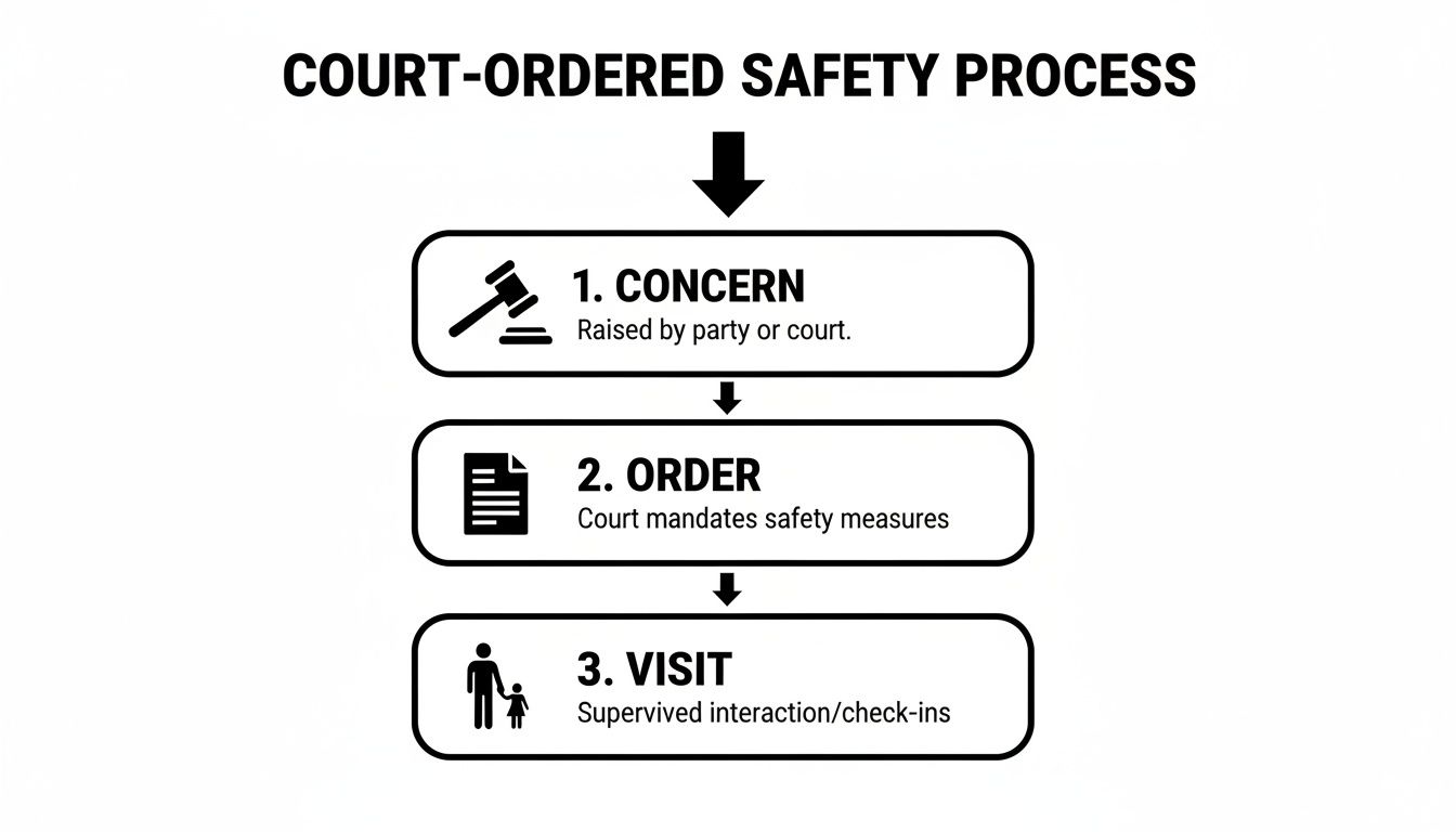 Flowchart illustrating the three-step court-ordered safety process: concern, order, and supervised visit.