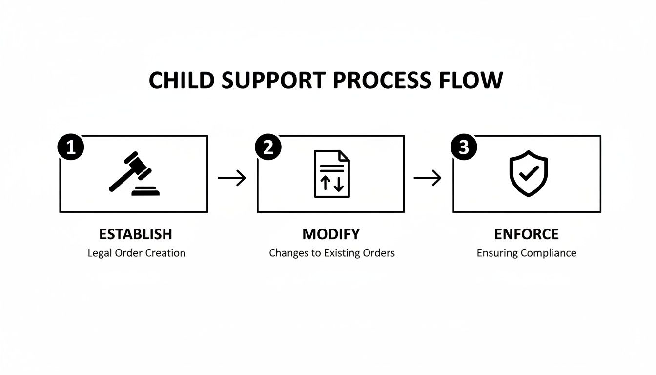 A child support process flow diagram showing three steps: establish, modify, and enforce legal orders.