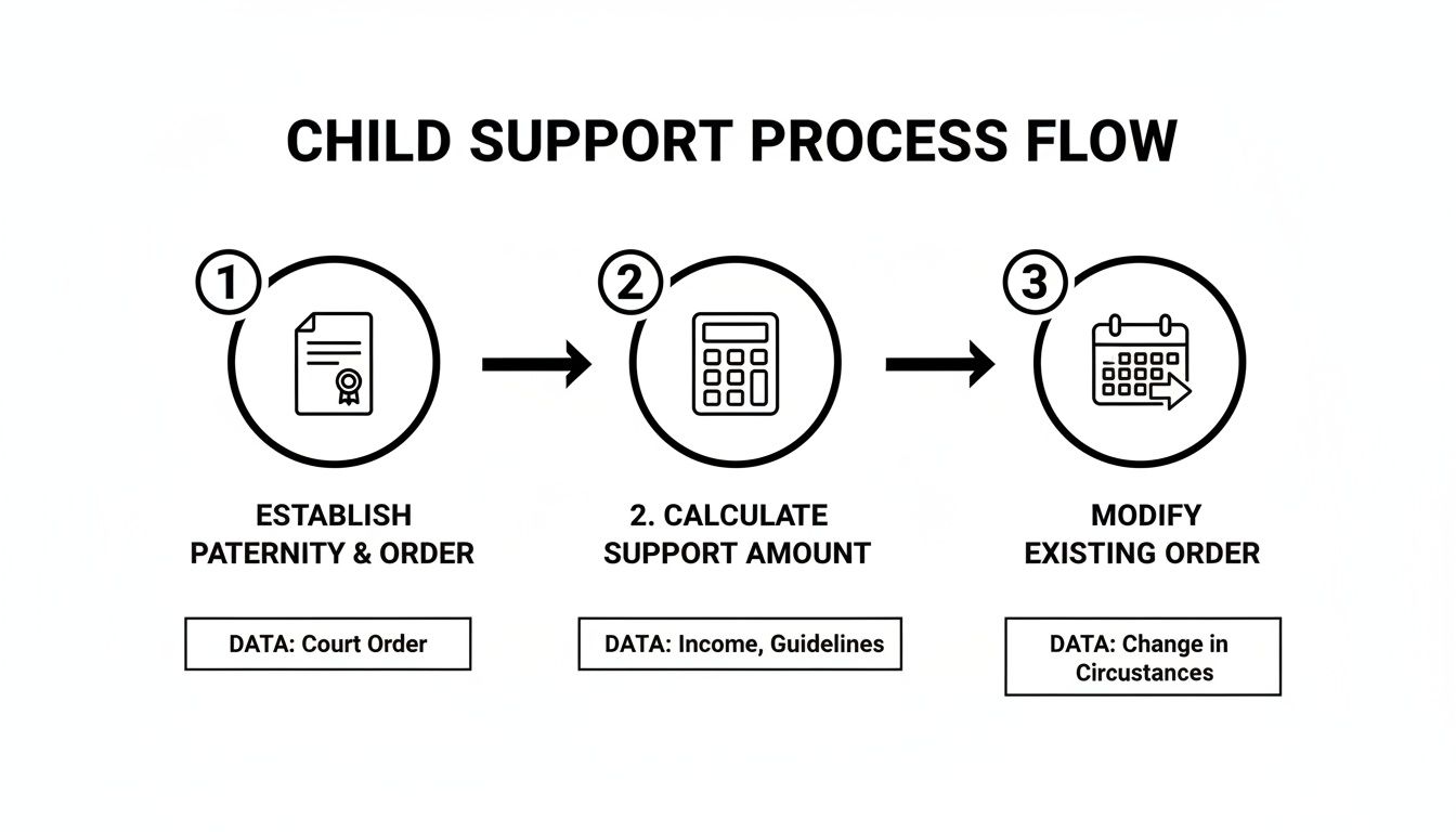 Flowchart outlining the child support process: establish paternity, calculate support, and modify existing orders.