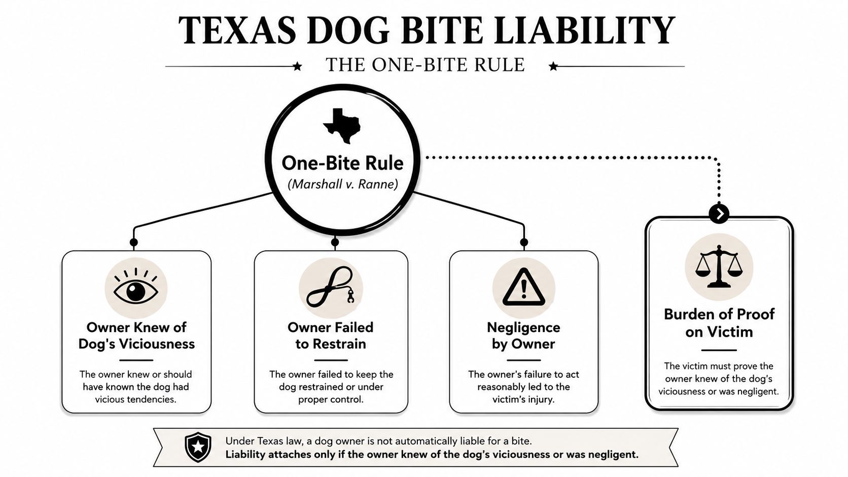 An infographic explaining Texas dog bite liability and the one-bite rule, detailing owner negligence and victim requirements.